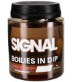 Starbaits PC Signal Boiles In Dip 24mm 150gr